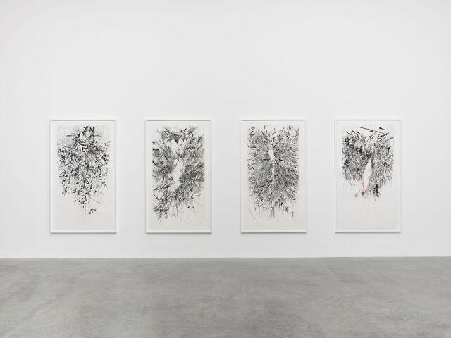 Julie Mehretu, Sayısız, Sadece Karanlıkta (katlanmamış gövde haritası, sürülerin matematiği, yerli, köken), 2014 