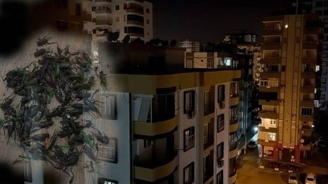Sesleri Adanalıların gece kâbusu oldu