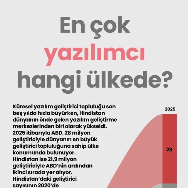 En çok yazılımcı hangi ülkede?