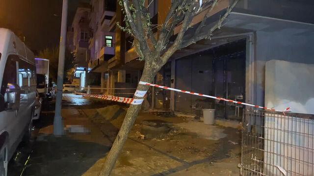 Akıma kapılan köpek öldü, sahibi yaralandı