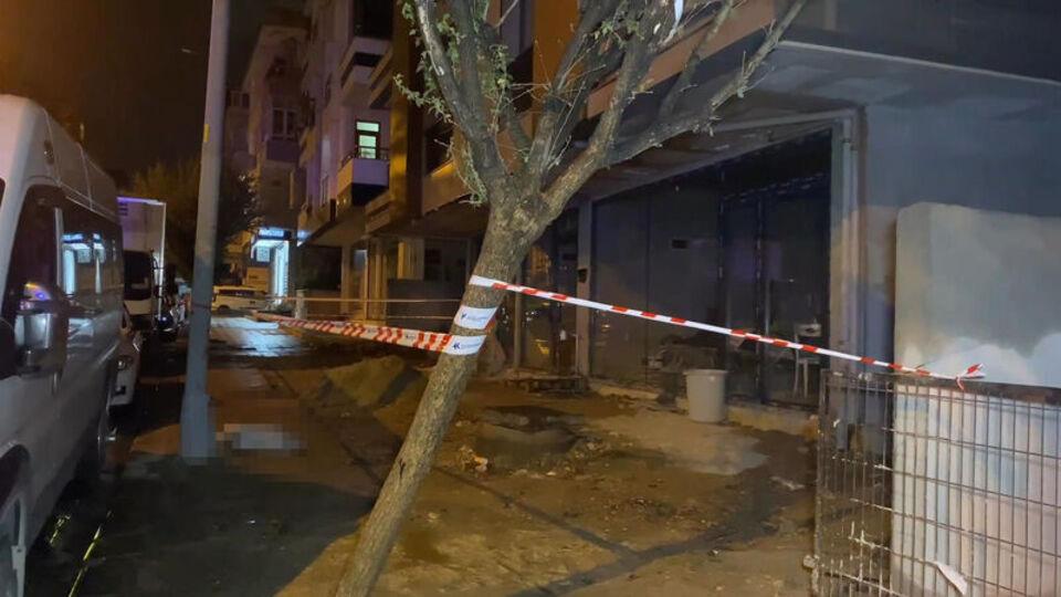 Akıma kapılan köpek öldü, sahibi yaralandı