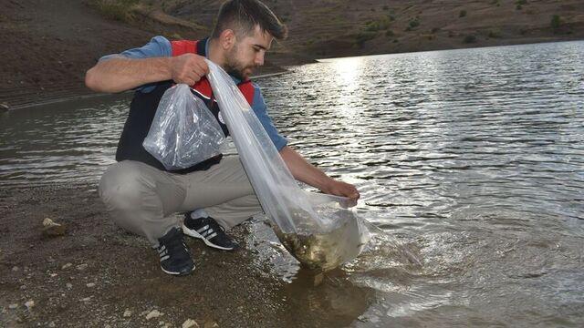Göletlere 150 bin sazan yavrusu bırakıldı