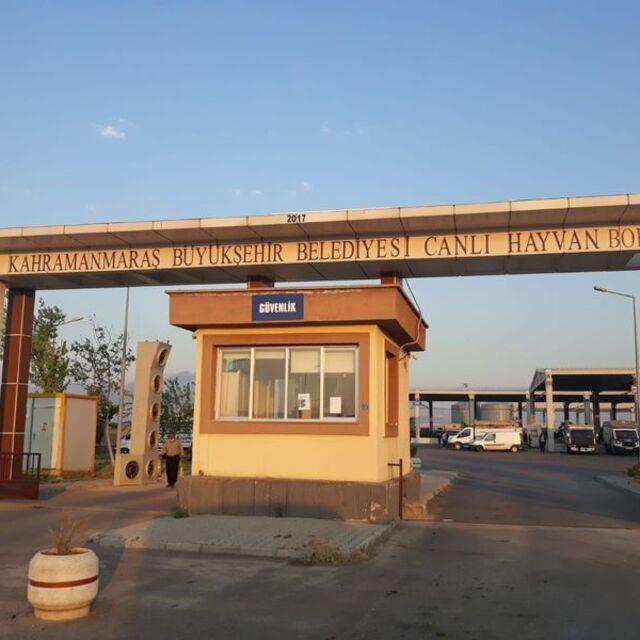Kahramanmaraş Canlı Hayvan Borsası kapatıldı