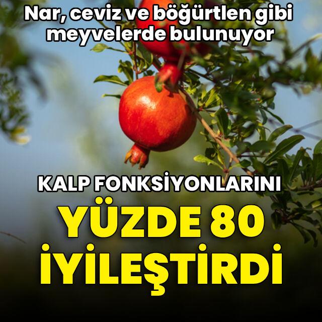 Araştırma: Nardan elde edilen doğal bileşik kalp fonksiyonlarını yüzde 80 iyileştirdi