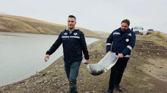 Van'da göletlere 700 bin sazan yavrusu bırakıldı