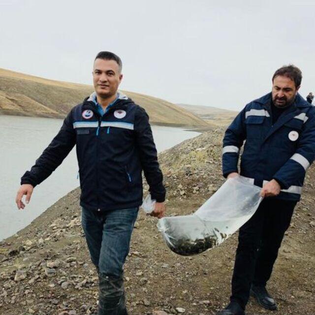 Van'da göletlere 700 bin sazan yavrusu bırakıldı