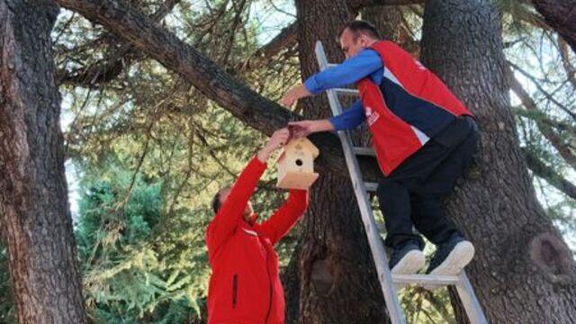 Kastamonu'da kuşlar için yuvalar hazırlandı