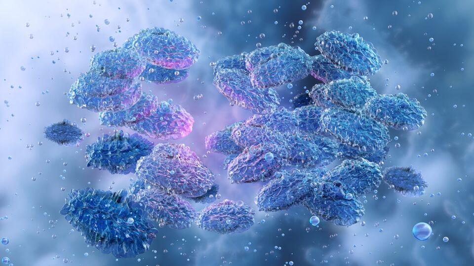 Veba salgınının küresel çapta yaşanması mümkün mü?