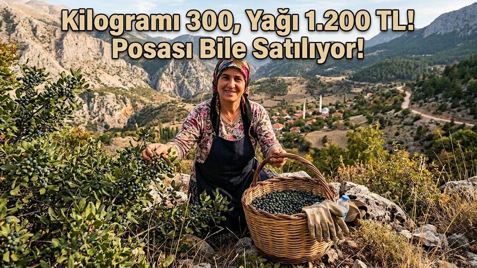 Kilosu 300, yağı 1.200 TL! Posası bile satılıyor