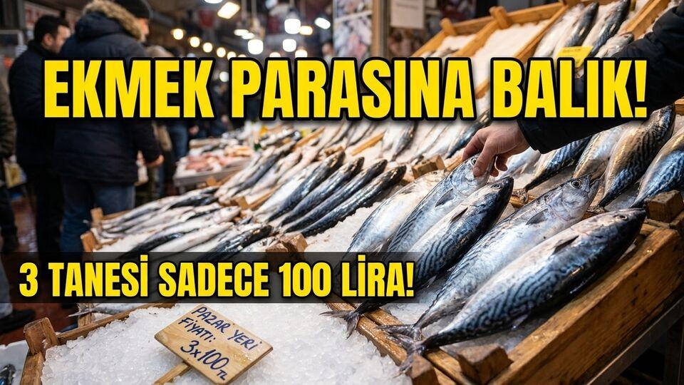 Ekmek parasına balık!
