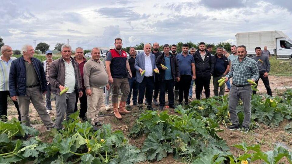 Dolu tarım alanlarına zarar verdi