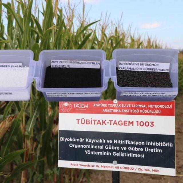Kimyasal gübreye yeni nesil alternatif: Zeytin atığı