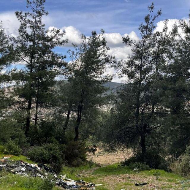 Danıştay'dan Akbelen kararı
