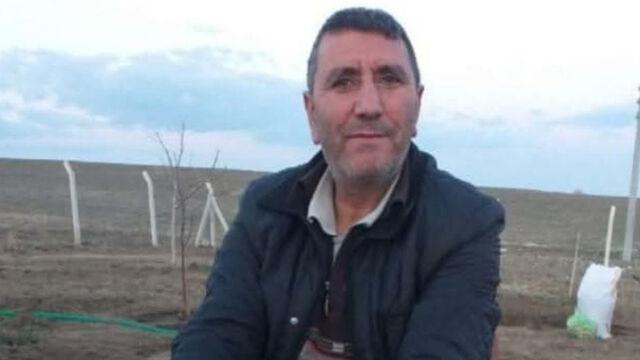 Feci kaza! Kesilen ağaç üzerine düştü!
