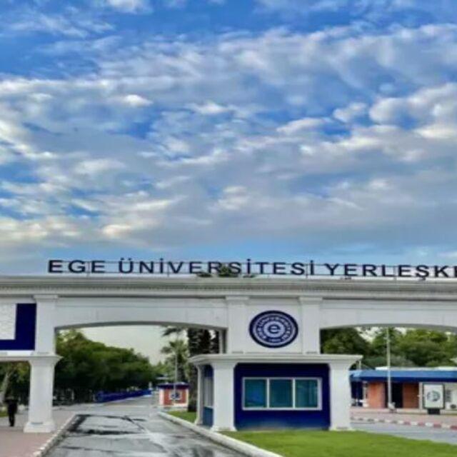 'Kediler zehirlendi' iddiasına yanıt