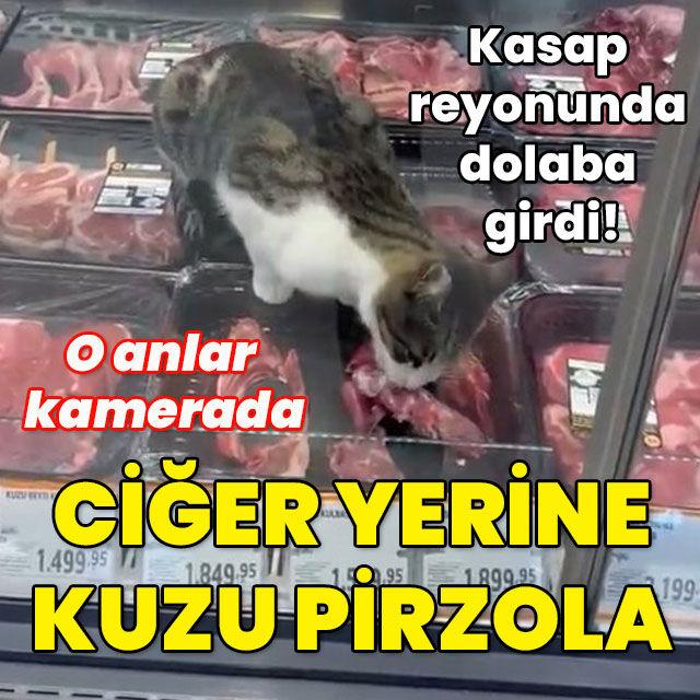 Kasap reyonunda dolaba girdi! Ciğer yerine kuzu pirzola!