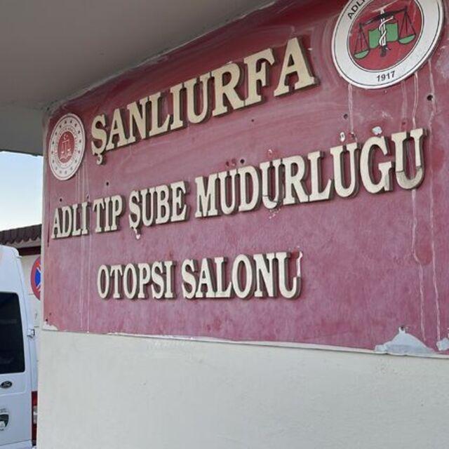 Ağaca çarptı traktörden düştü!