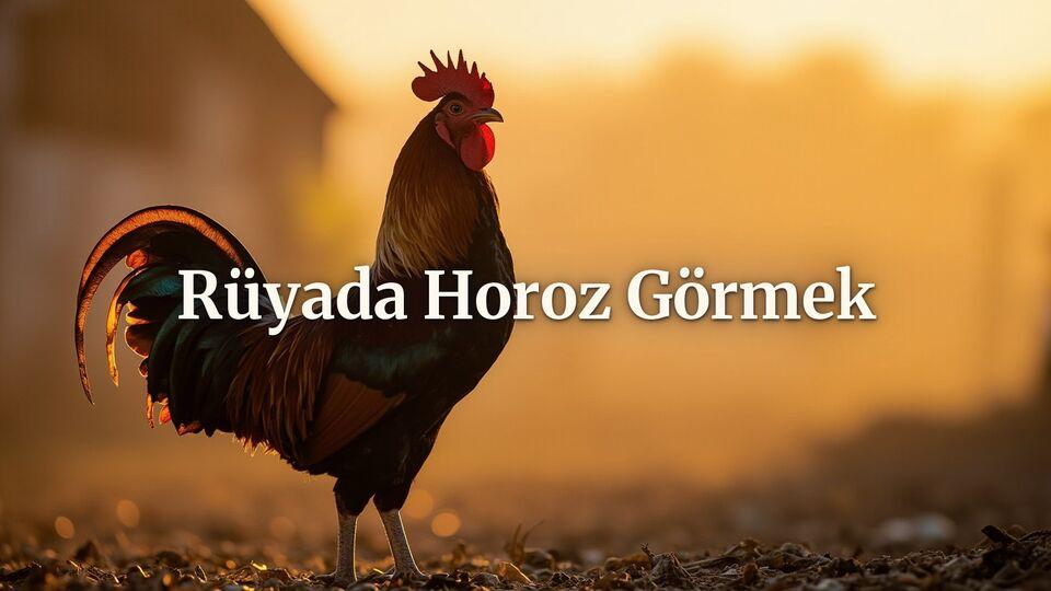 Rüyada horoz görmek ne anlama gelir?