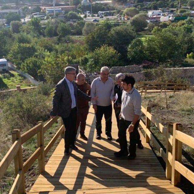 Amasya'da orman okulu kuruluyor