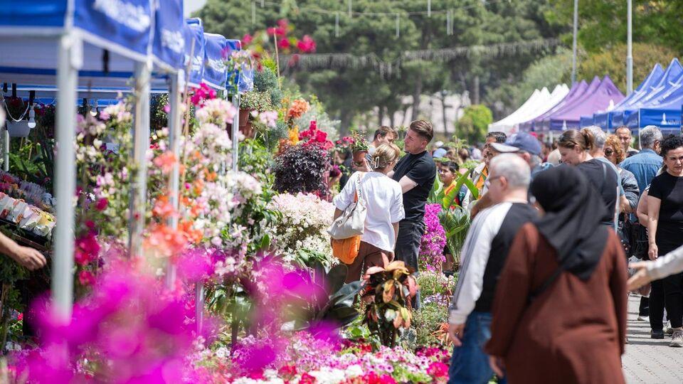 İzmir'in çiçek ve bal festivalinde geri sayım