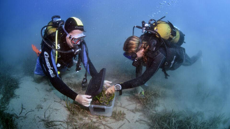 Antalya'da "Üç Adalar Projesi" tanıtıldı