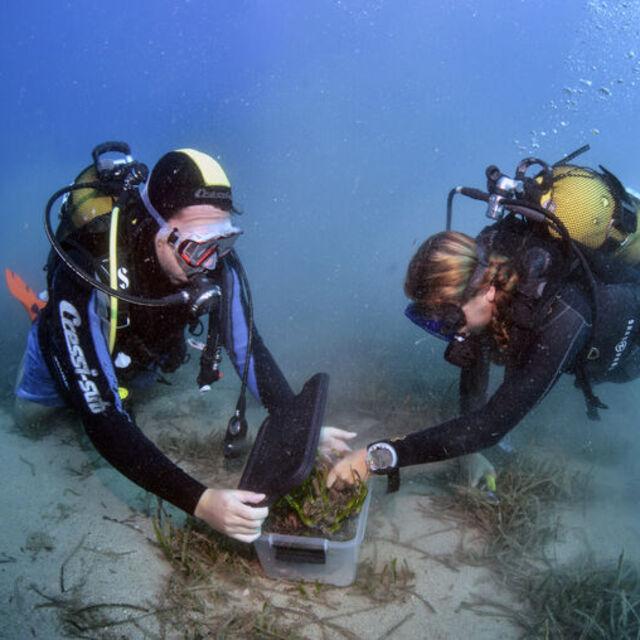 Antalya'da "Üç Adalar Projesi" tanıtıldı