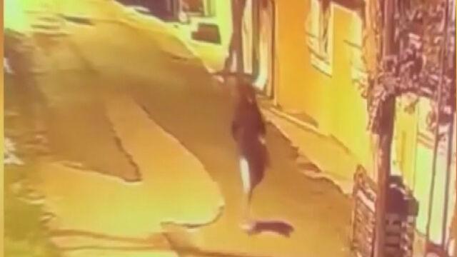 Korkunç saldırı! Haraç çetesi yanlışlıkla kuryeyi vurdu!