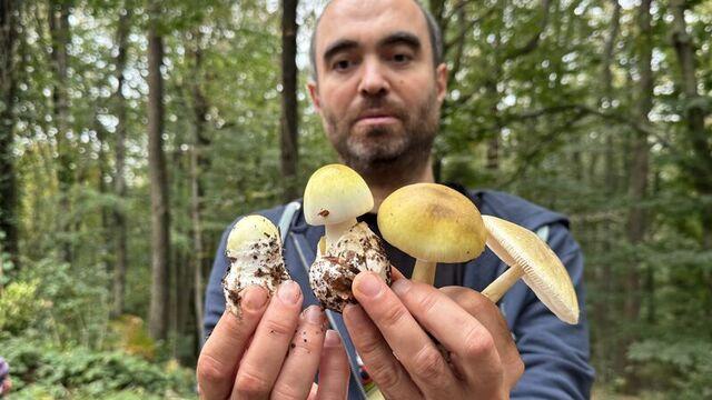 Uzmanından yine "köygöçüren" uyarısı!