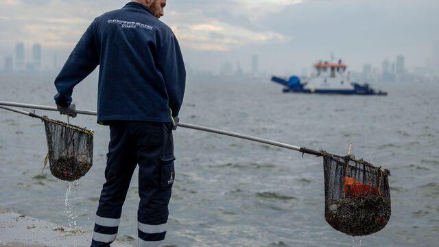 İzmir'de yıllık 1500 ton atık çıkarılıyor