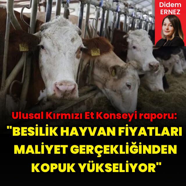 "Besilik hayvan fiyatları maliyet gerçekliğinden kopuk yükseliyor"