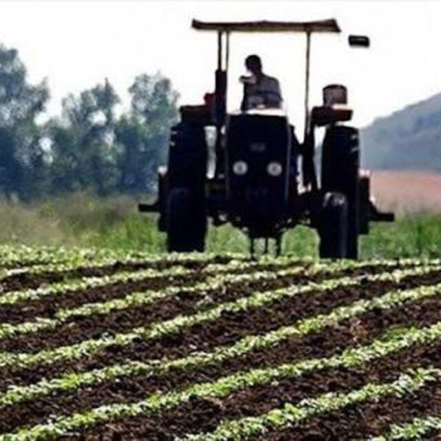 Tarım-gıdaya 750 milyon dolarlık finansman