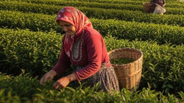 Şekerbank'tan Dünya Kadın Çiftçiler Günü'ne özel kredi
