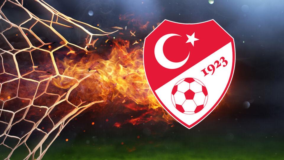 TFF'den Ferhat Gündoğdu açıklaması!