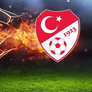 TFF'de seçim yok, 5 istifa var!